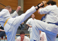 Süddeutsche Kyokushin Meisterschaft !